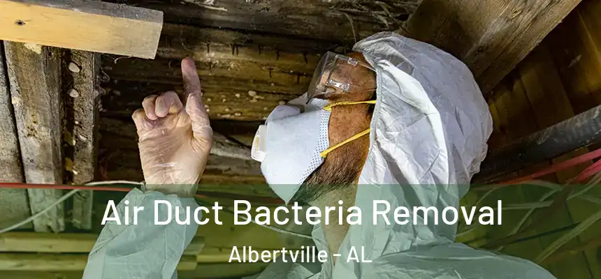 Air Duct Bacteria Removal Albertville - AL