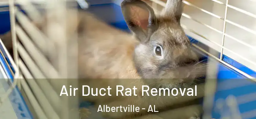  Air Duct Rat Removal Albertville - AL