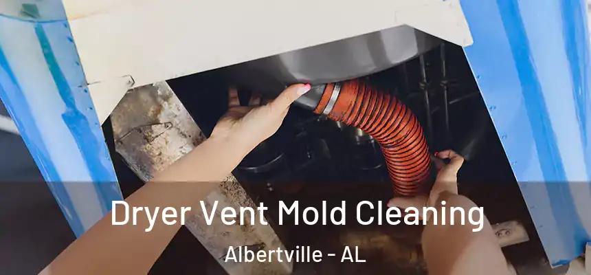  Dryer Vent Mold Cleaning Albertville - AL