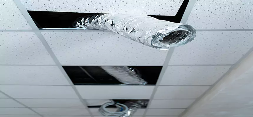 Affordable HVAC Sanitizing After Pest Removal in Albertville