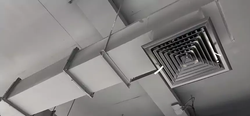 Our Rodent Droppings In Vents Services in Albertville, AL