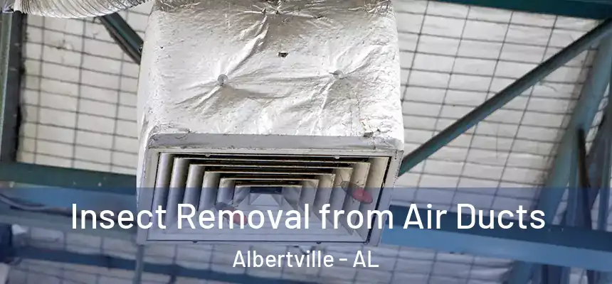  Insect Removal from Air Ducts Albertville - AL