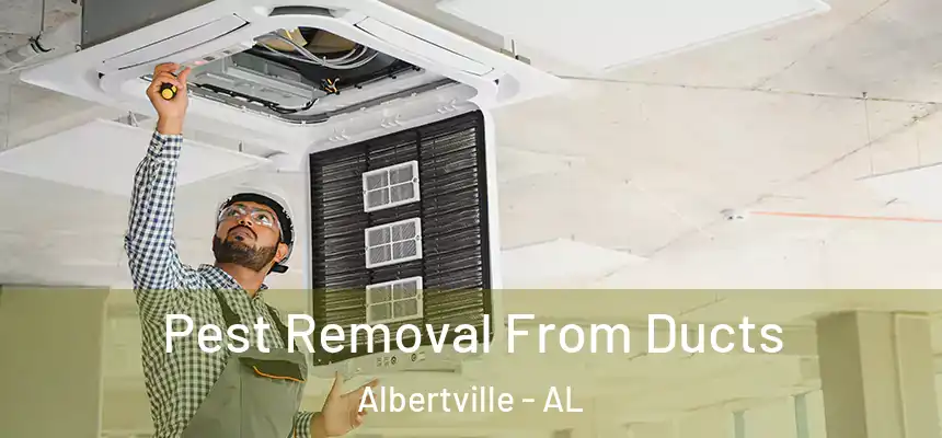 Pest Removal From Ducts Albertville - AL