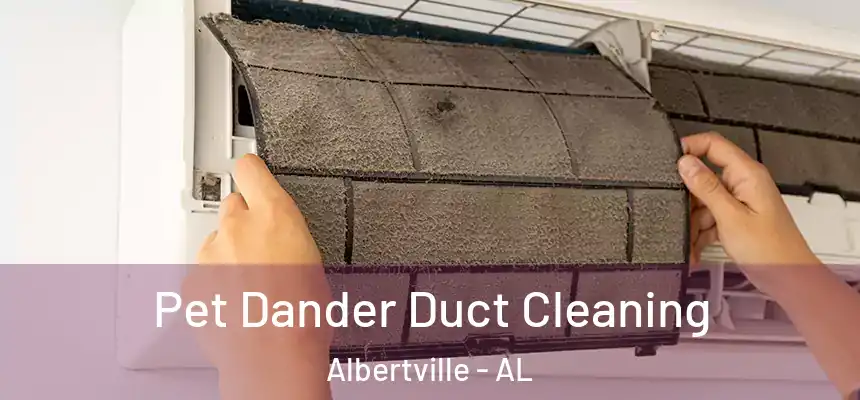 Pet Dander Duct Cleaning Albertville - AL