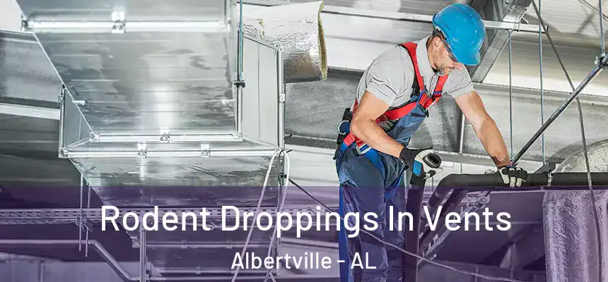  Rodent Droppings In Vents Albertville - AL