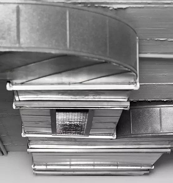 Professional Air Duct Pest Removal in Albertville, AL