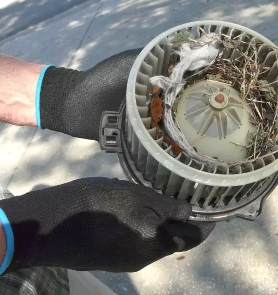 About Air Duct Rat Removal in Albertville, AL