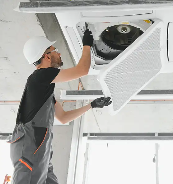 About Air Duct Rodent Removal in Albertville, AL