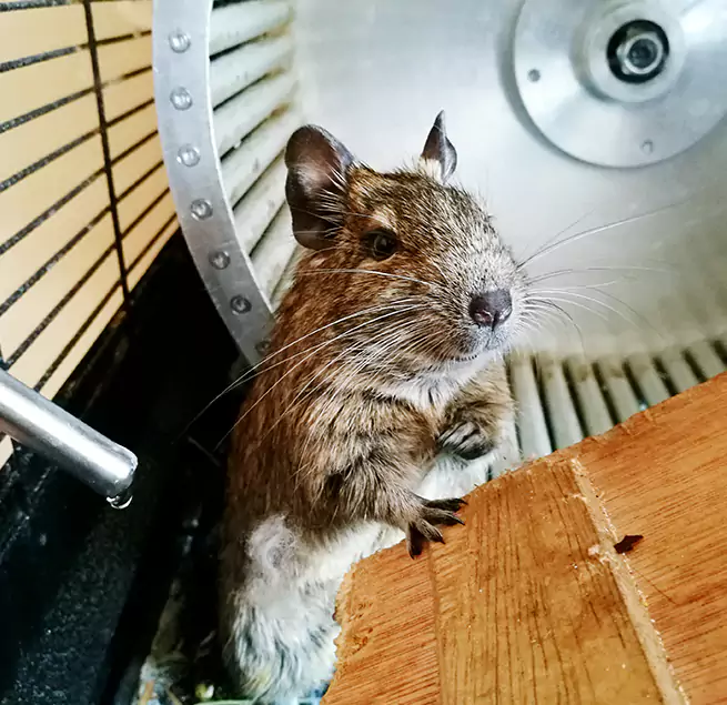 Why Homeowners & Businesses Trust Us Albertville, AL?