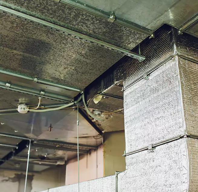 Why Homeowners & Businesses Trust Us in Albertville, AL?